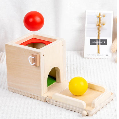 4 In 1 Montessori Coin Ball Box Kids Toy