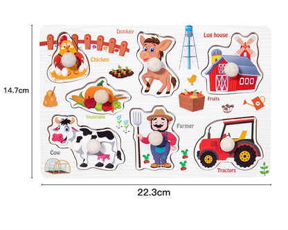 Baby Toys Montessori Wooden Puzzles Kids 1-3 Years