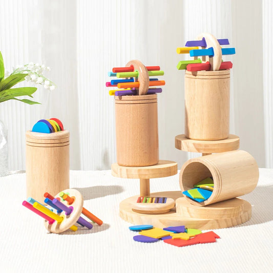 Montessori Cognitive Learning Color Shape