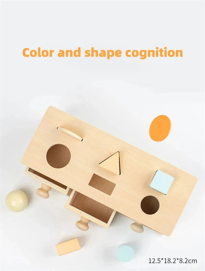 Montessori wooden money shadow box