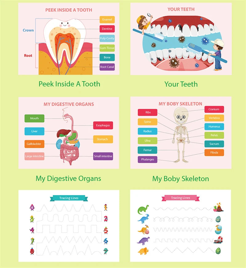 Montessori Book on Human Body Structure