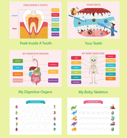 Montessori Book on Human Body Structure