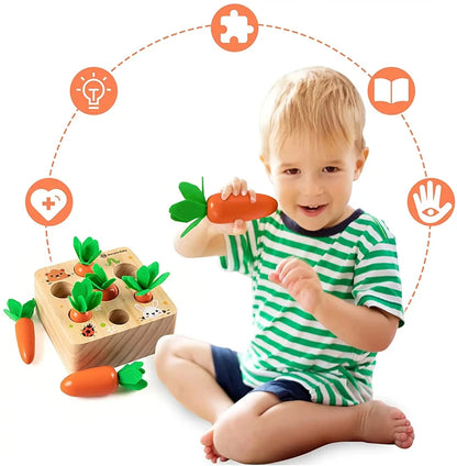 Montessori Carrot Pull Toy for Fine Motor Skills