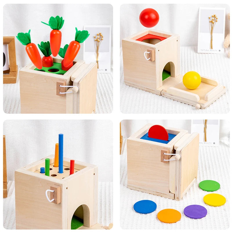 4 In 1 Montessori Coin Ball Box Kids Toy