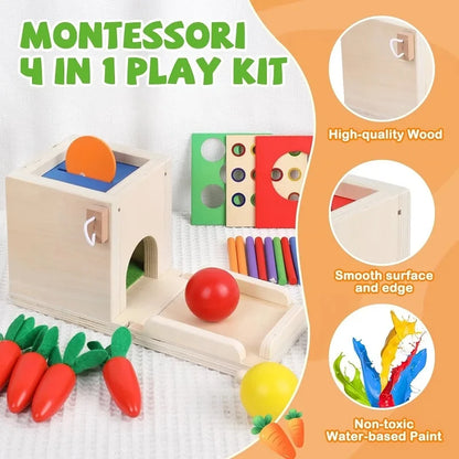 4 In 1 Montessori Coin Ball Box Kids Toy