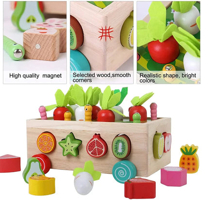 Montessori Carrot Pull Toy for Fine Motor Skills