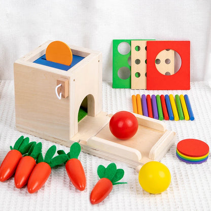 4 In 1 Montessori Coin Ball Box Kids Toy