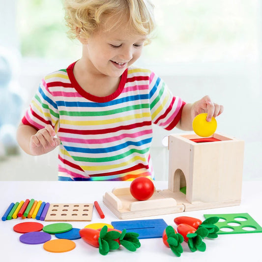 4 In 1 Montessori Coin Ball Box Kids Toy