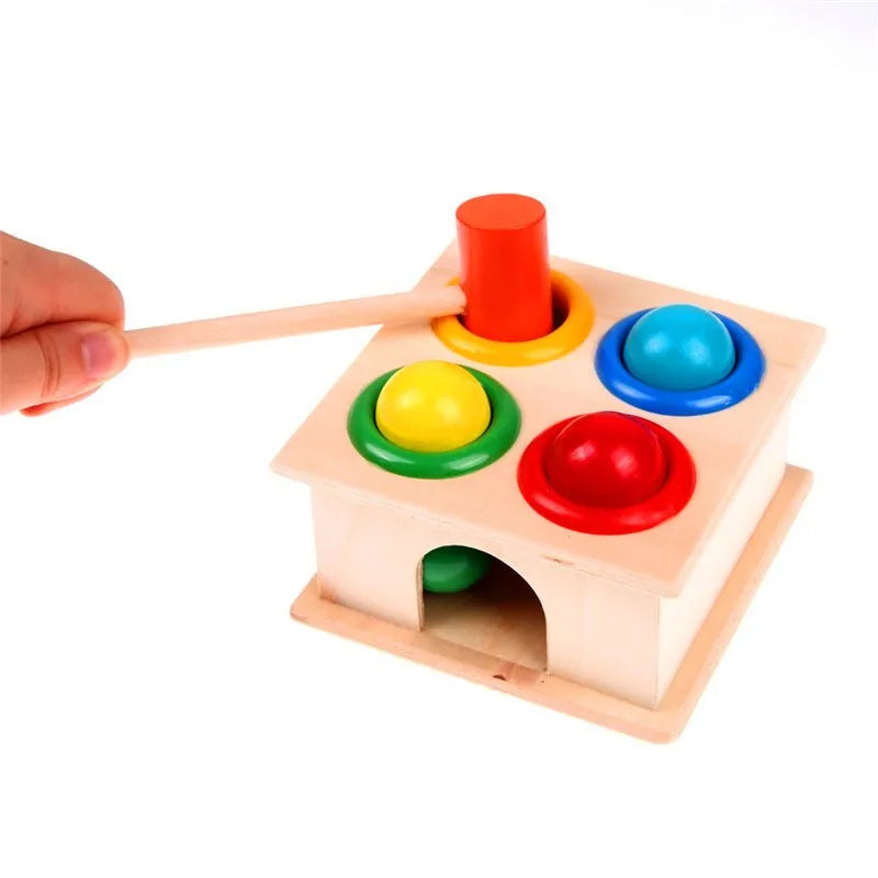 Montessori wooden puzzles