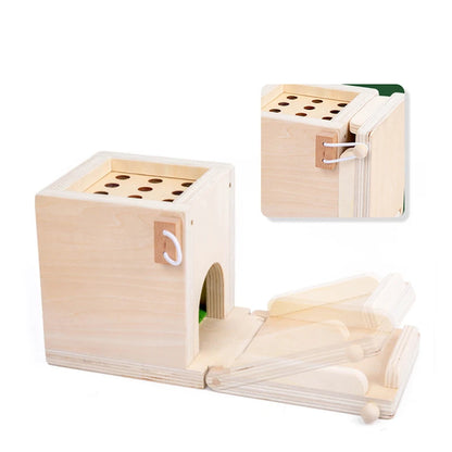 4 In 1 Montessori Coin Ball Box Kids Toy